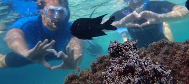 Snorkel en la playa Porto dos Frades