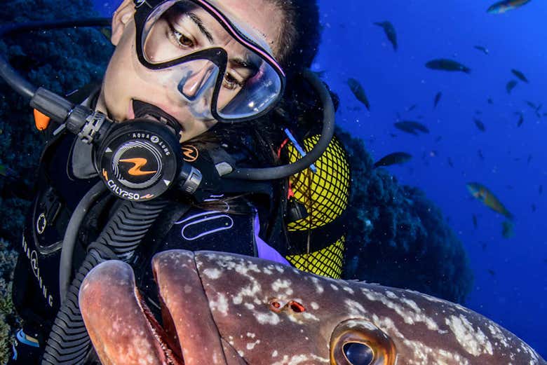 Diving in the Azores