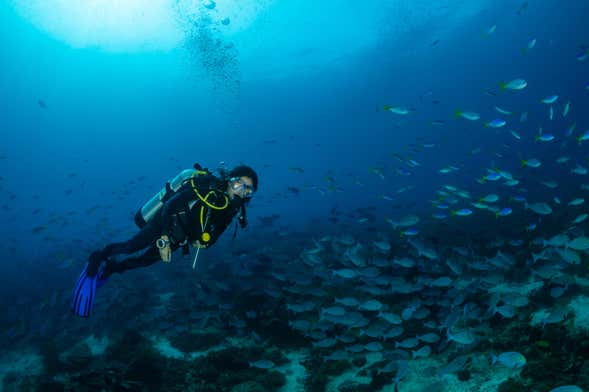 Buceo en São Miguel