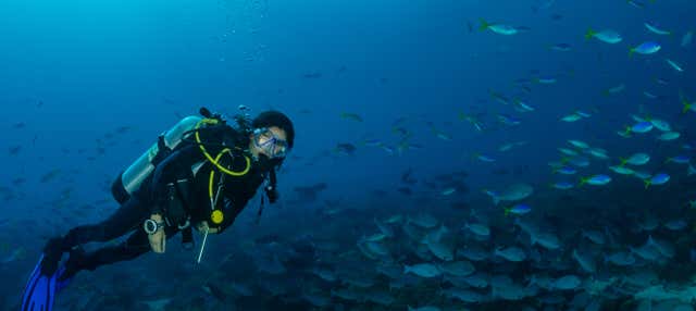 Buceo en São Miguel