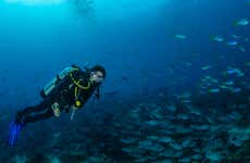 Scuba Diving in São Miguel