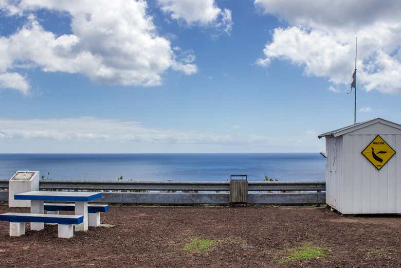 Descubriendo el patrimonio ballenero de las Azores
