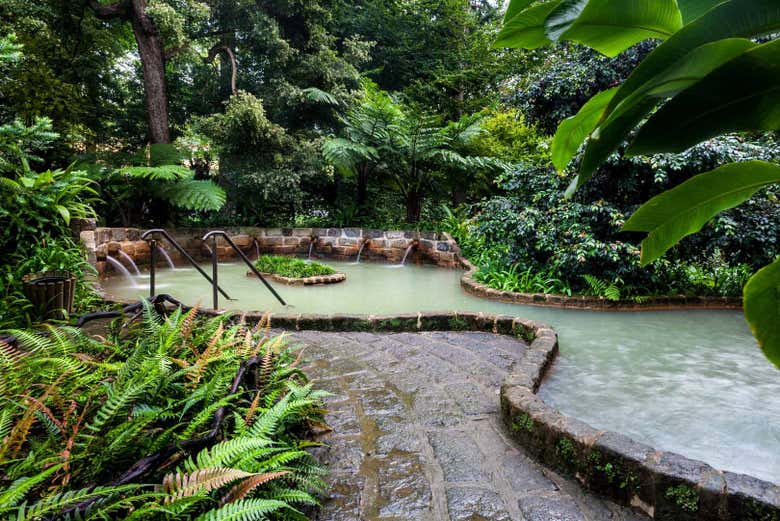 Passeio pelo jardim botânico