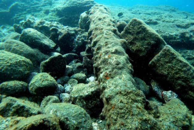 Cannon remains