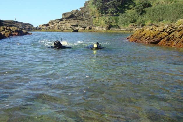 Exploring the underwater world in São Miguel