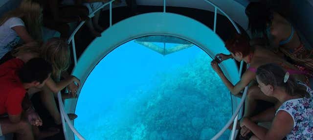 Passeio de barco com fundo de vidro por Vila Franca do Campo