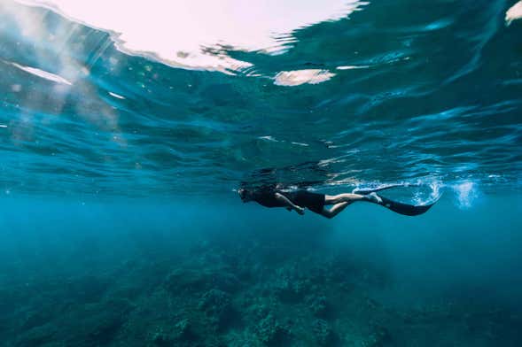 Snorkel en São Miguel