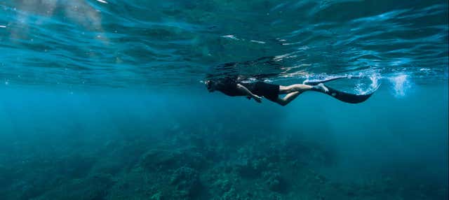 Snorkel en São Miguel