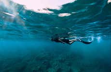 Snorkel em São Miguel