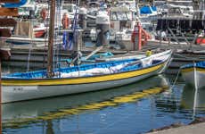 Whaling Heritage of the Azores Tour