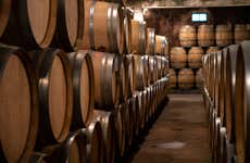Degustação de vinhos em The Wine School
