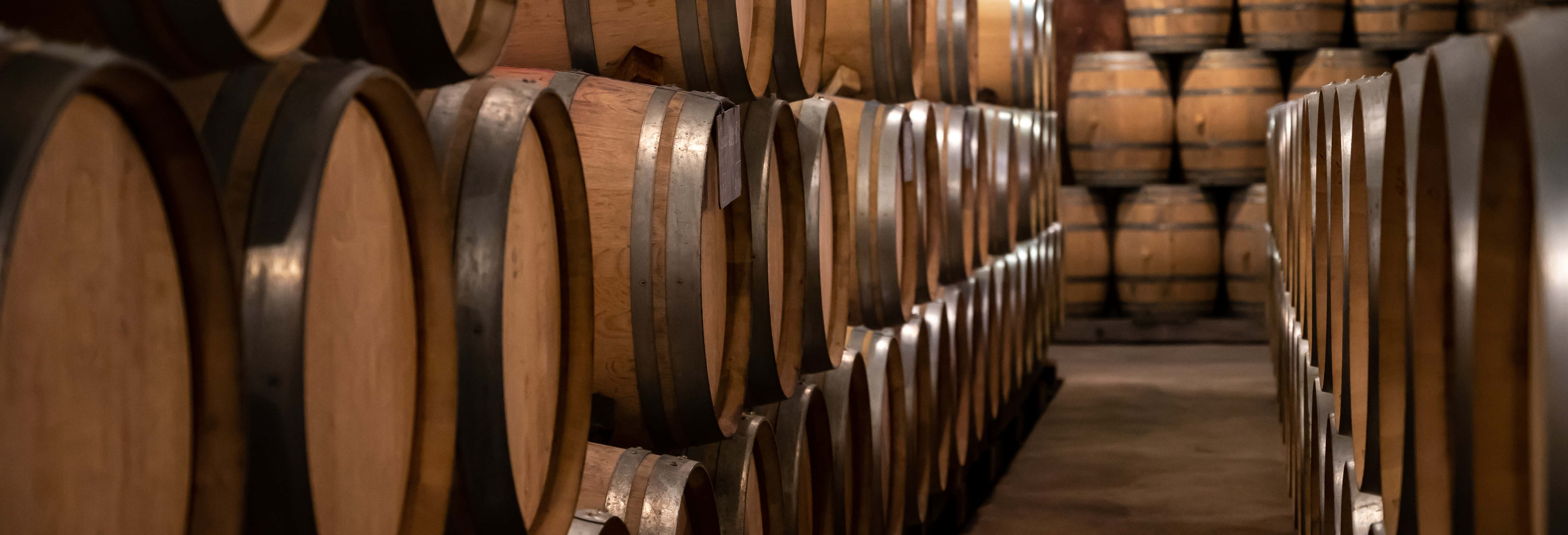 Food and wine experiences in Vila Nova de Gaia