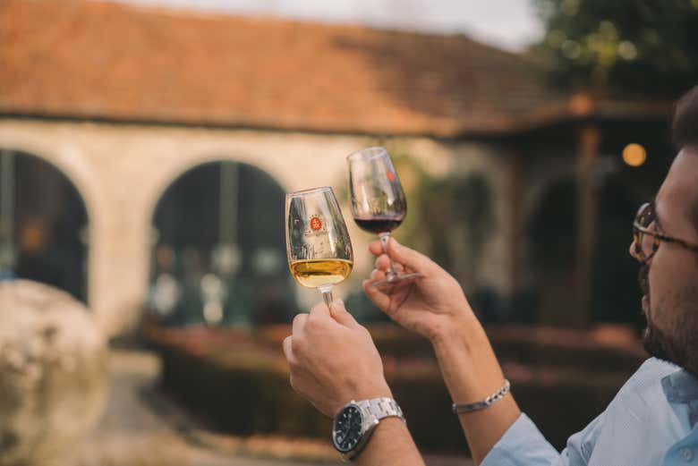 Appreciate the different wines