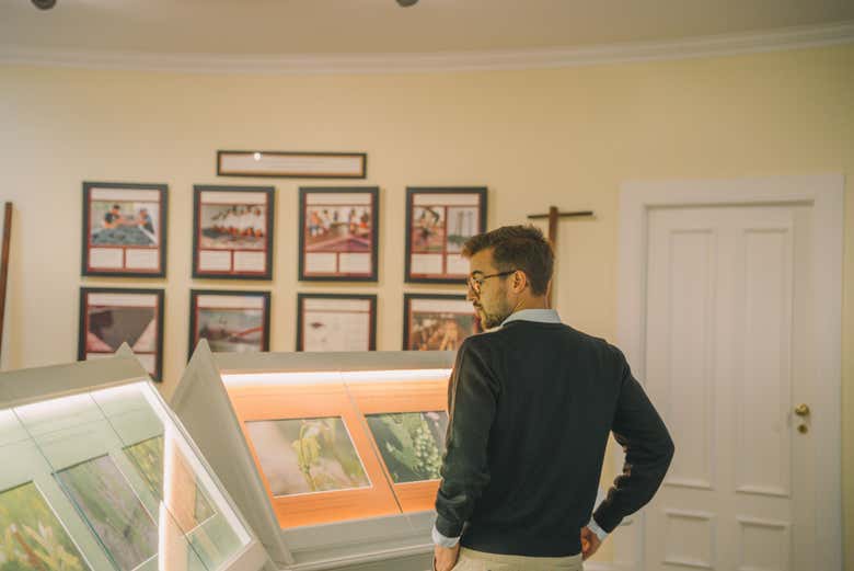 Uncover the history of Taylor's Winery