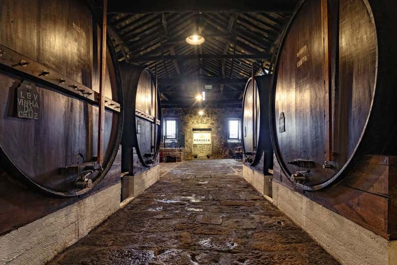 Barricas de la bodega Fonseca