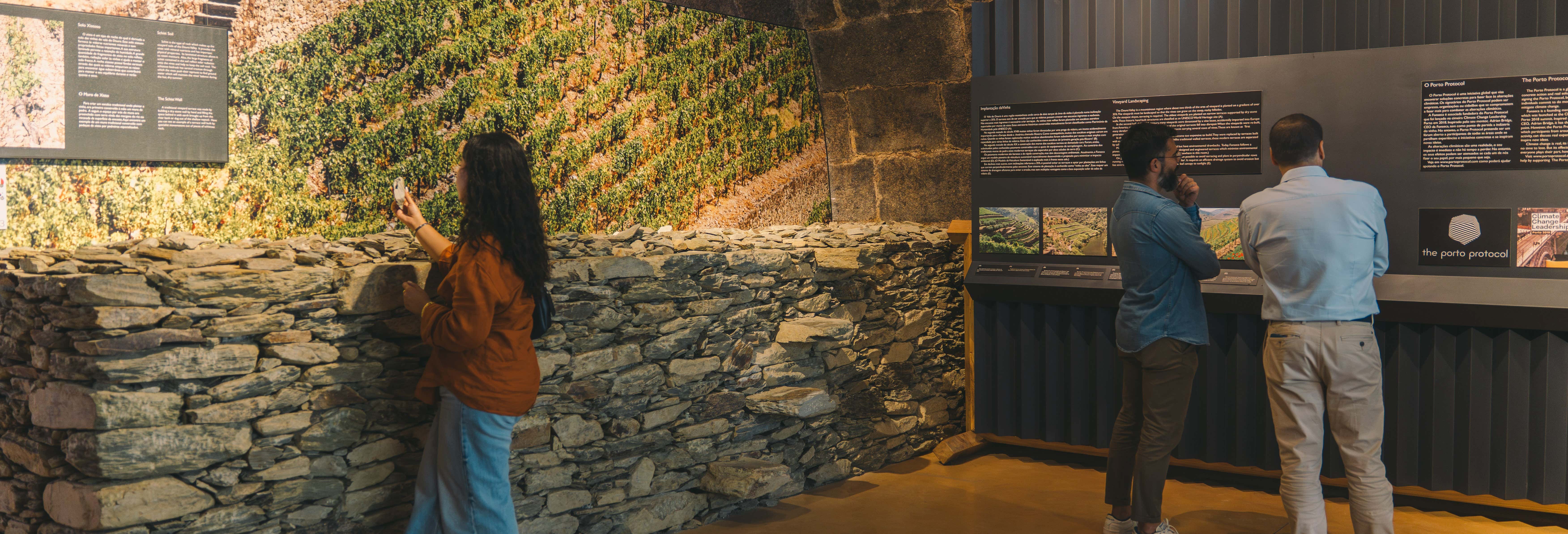 Gastronomía y enoturismo en Vila Nova de Gaia