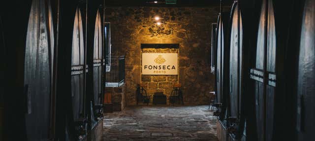 Fonseca Winery Tour