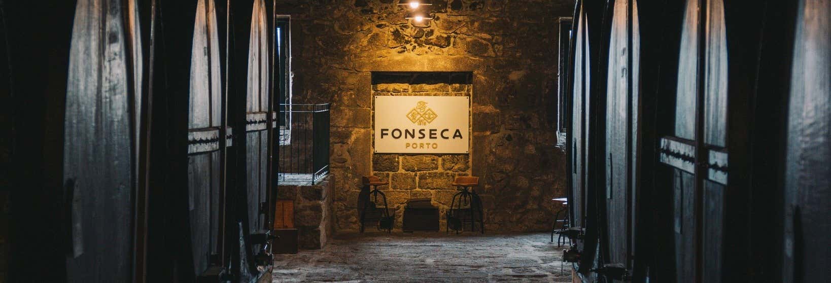 Food and wine experiences in Vila Nova de Gaia