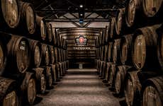 Visita a la bodega Taylor's