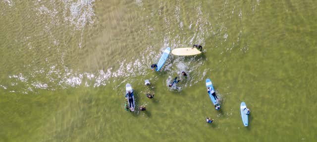 Cours de surf à Vila Nova de Milfontes