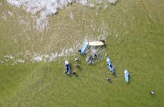 Curso de surfe em Vila Nova de Milfontes