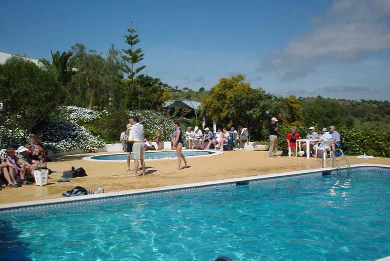 Take a dip in the pool!