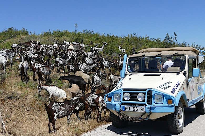 4x4 Jeep tour from Vila Real de Santo António