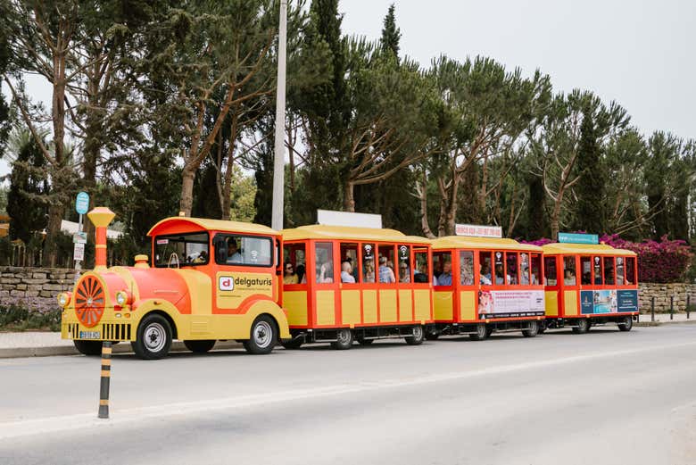 The tourist train