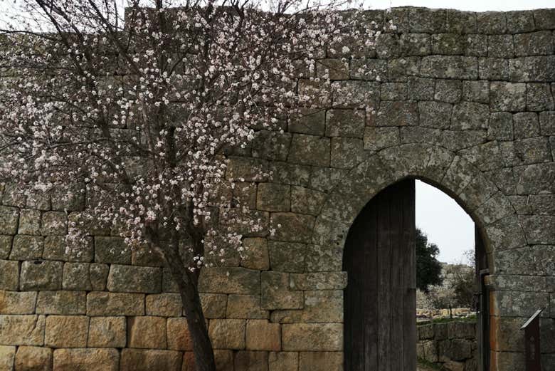 Uma porta do castelo de Vilar Maior