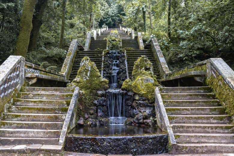 Escaleras y fuentes del bosque de Busaco