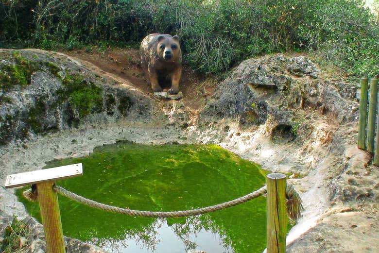 Percorrendo o ecoparque sensorial de Pia Urso