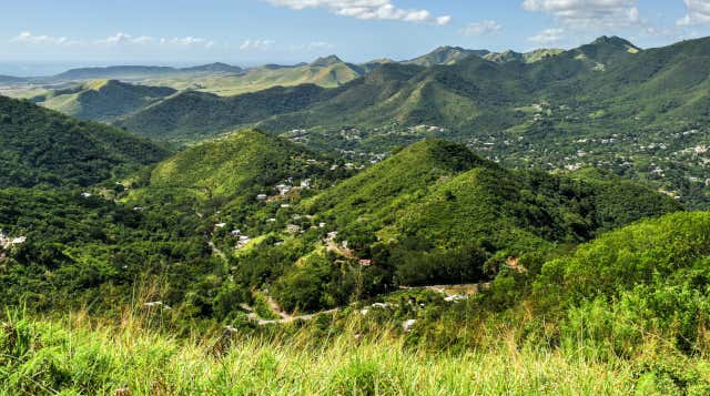 Activities, Guided Tours and Day Trips in Salinas