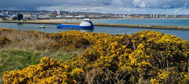 Excursion au château de Dunnottar + Route côtière de l'Aberdeenshire