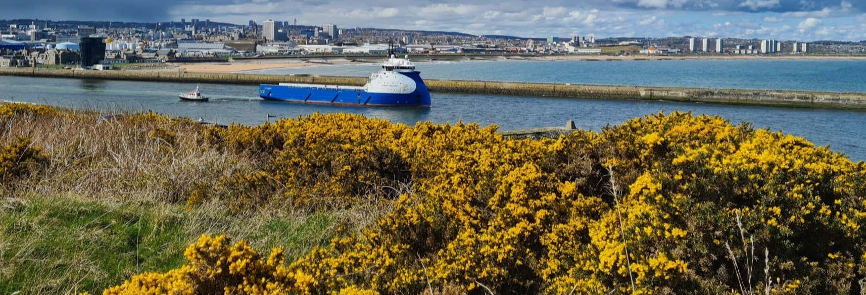 Excursions d'une journée à Aberdeen