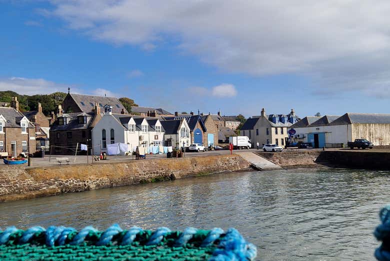 Côte de Johnshaven
