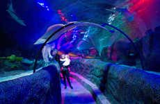 SEA LIFE Loch Lomond Aquarium Tickets