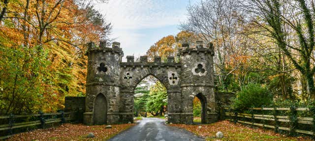 Free tour de los misterios y leyendas de Belfast