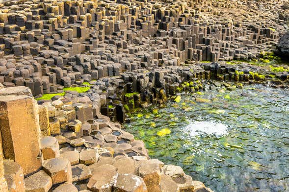 Tour por Belfast y la Calzada del Gigante para cruceros