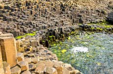 Tour por Belfast y la Calzada del Gigante para cruceros
