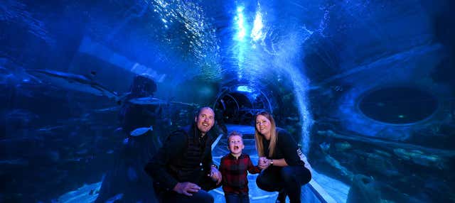 Entrada a SEA LIFE® Birmingham