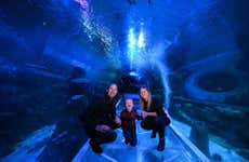 Billet pour SEA LIFE® Birmingham