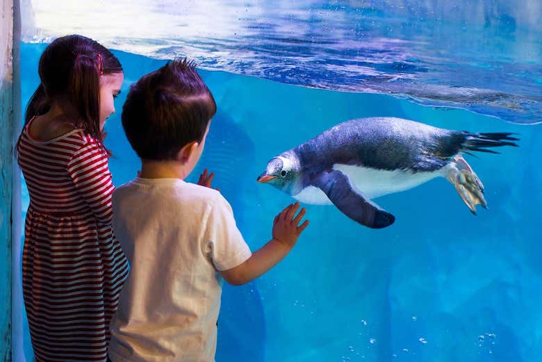 ¡Una actividad perfecta para los niños!