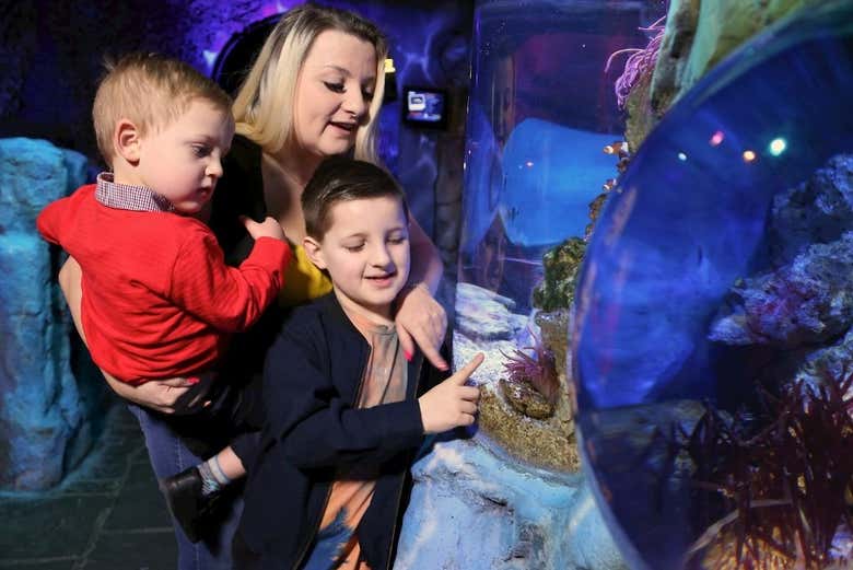 Aquarium de la Blackpool Tower