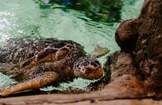 Entrada a SEA LIFE® Brighton