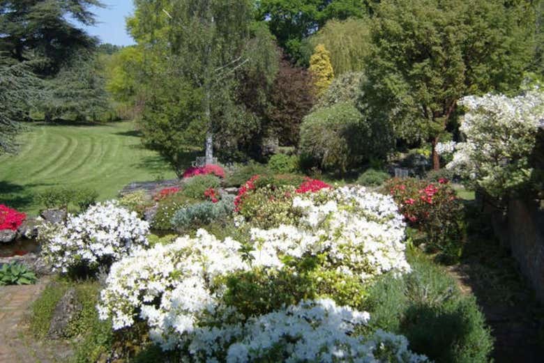 Jardins de Mount Ephraim 
