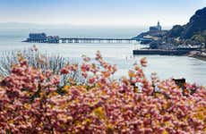 Tour por la península de Gower, Mumbles y Swansea