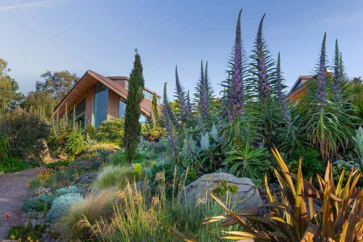De nombreuses espèces de plantes dans au RHS Garden de Hyde Hall