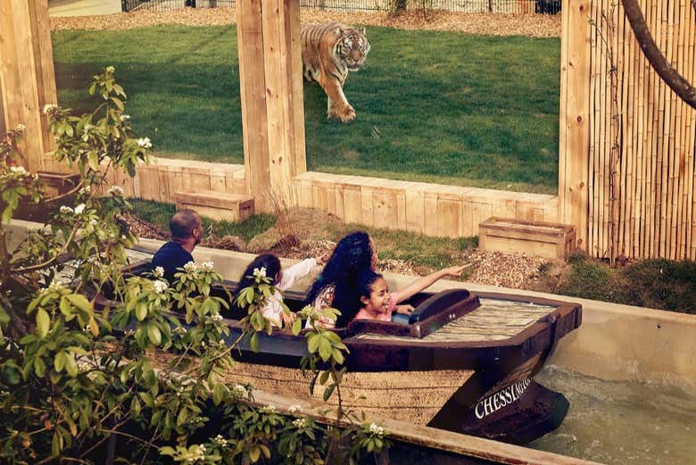 Atrações e animais em Chessington