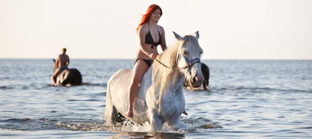 Grand Turk Island Horseback Riding