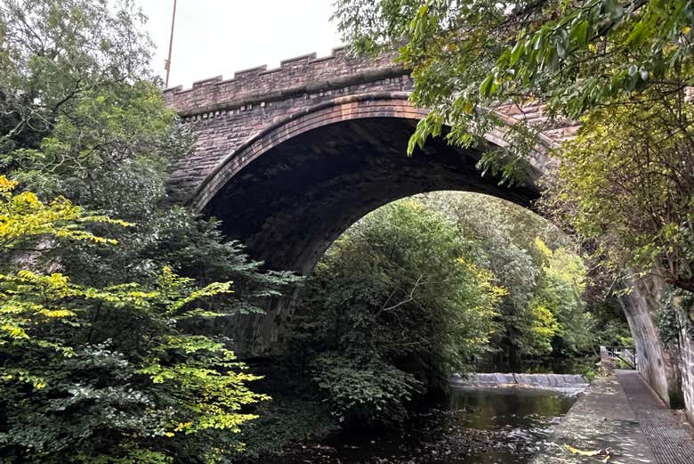 Un puente sobre el río 